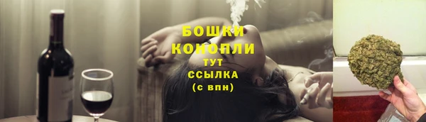 сатива Армянск