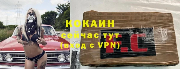 винт Арсеньев