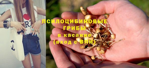 винт Арсеньев